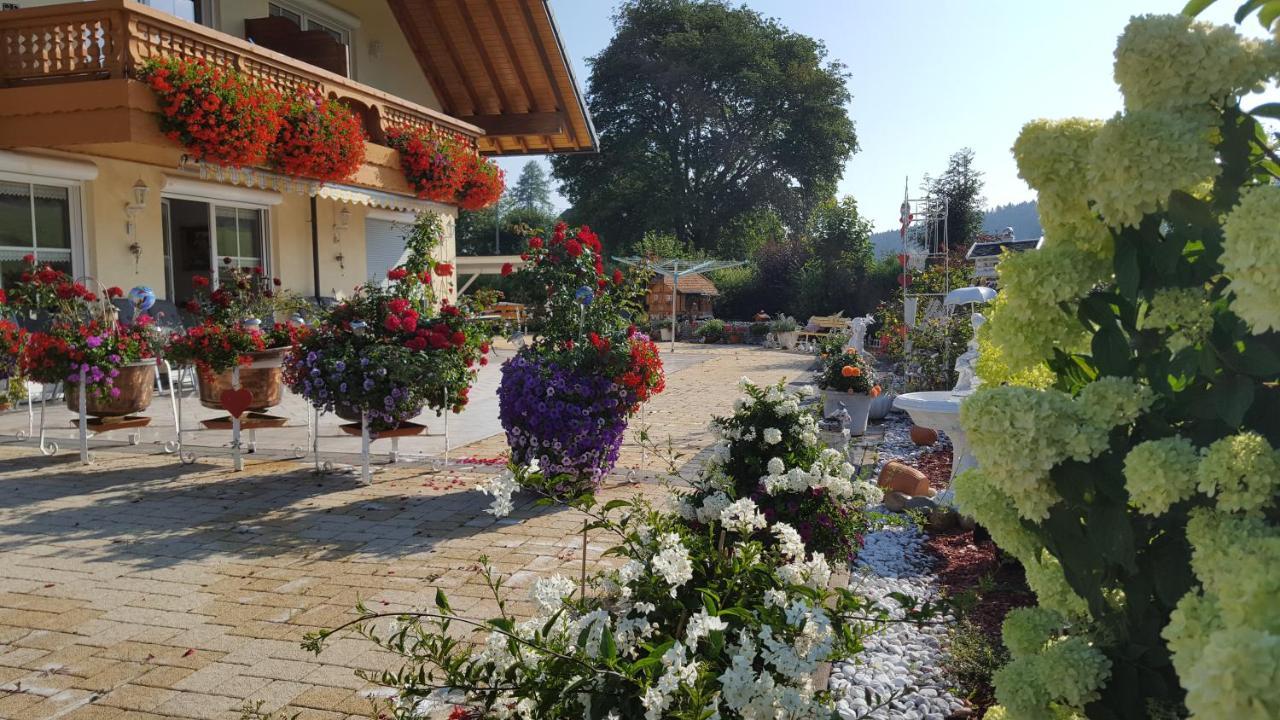 Appartement Rehblick Eisenbach  Esterno foto