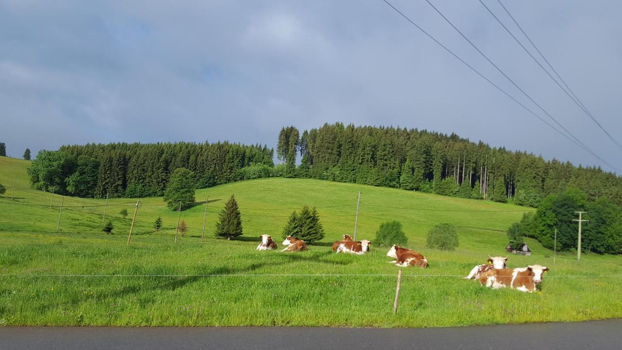 Appartement Rehblick Eisenbach  Esterno foto