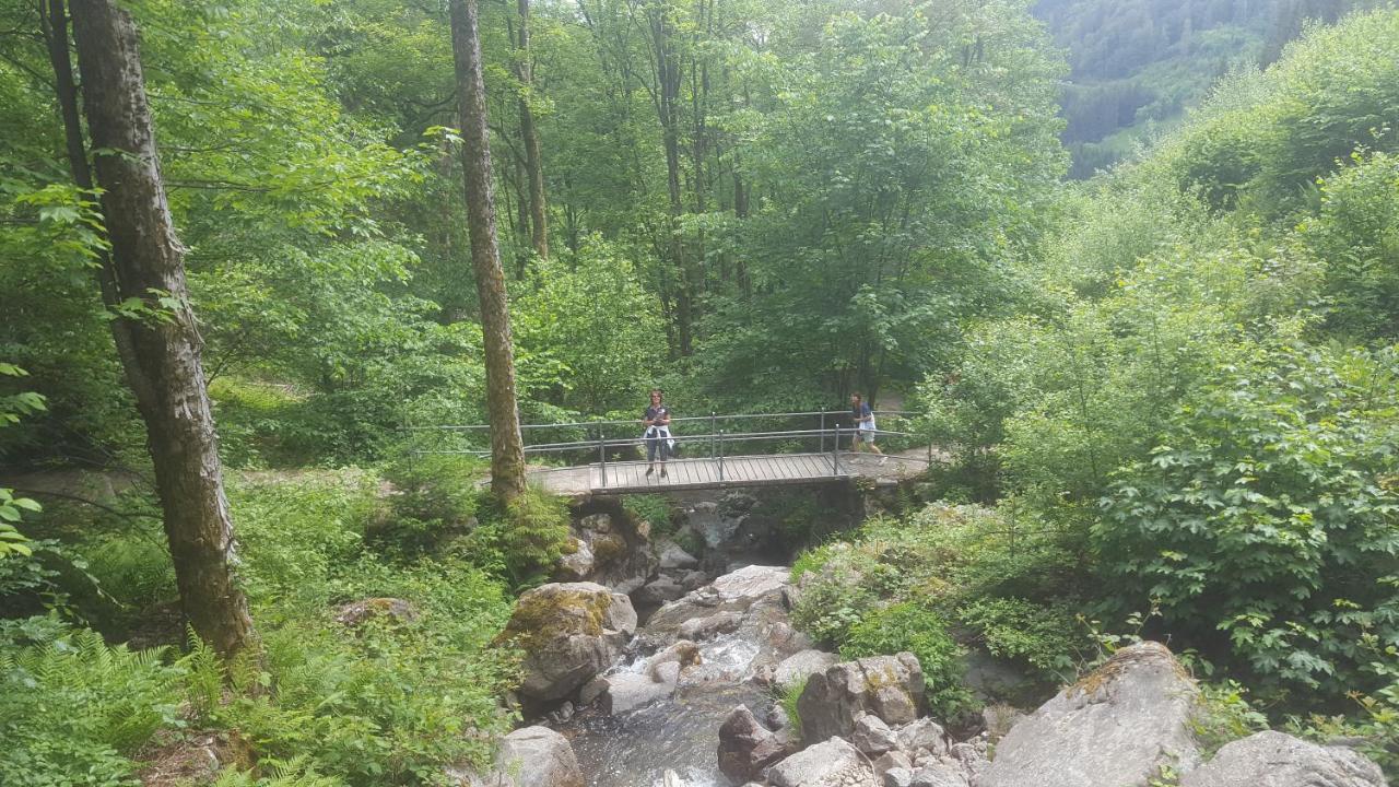 Appartement Rehblick Eisenbach  Esterno foto
