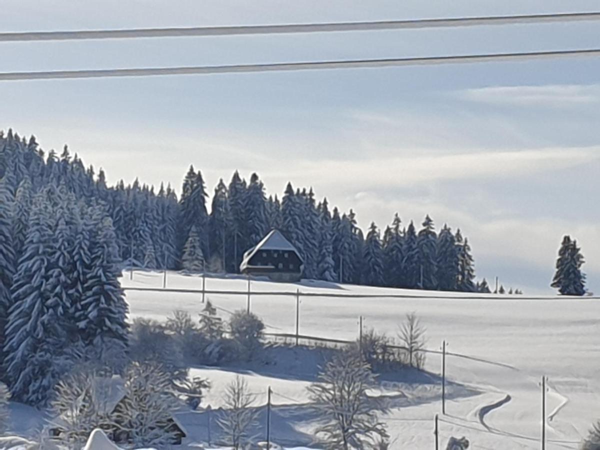Appartement Rehblick Eisenbach  Esterno foto