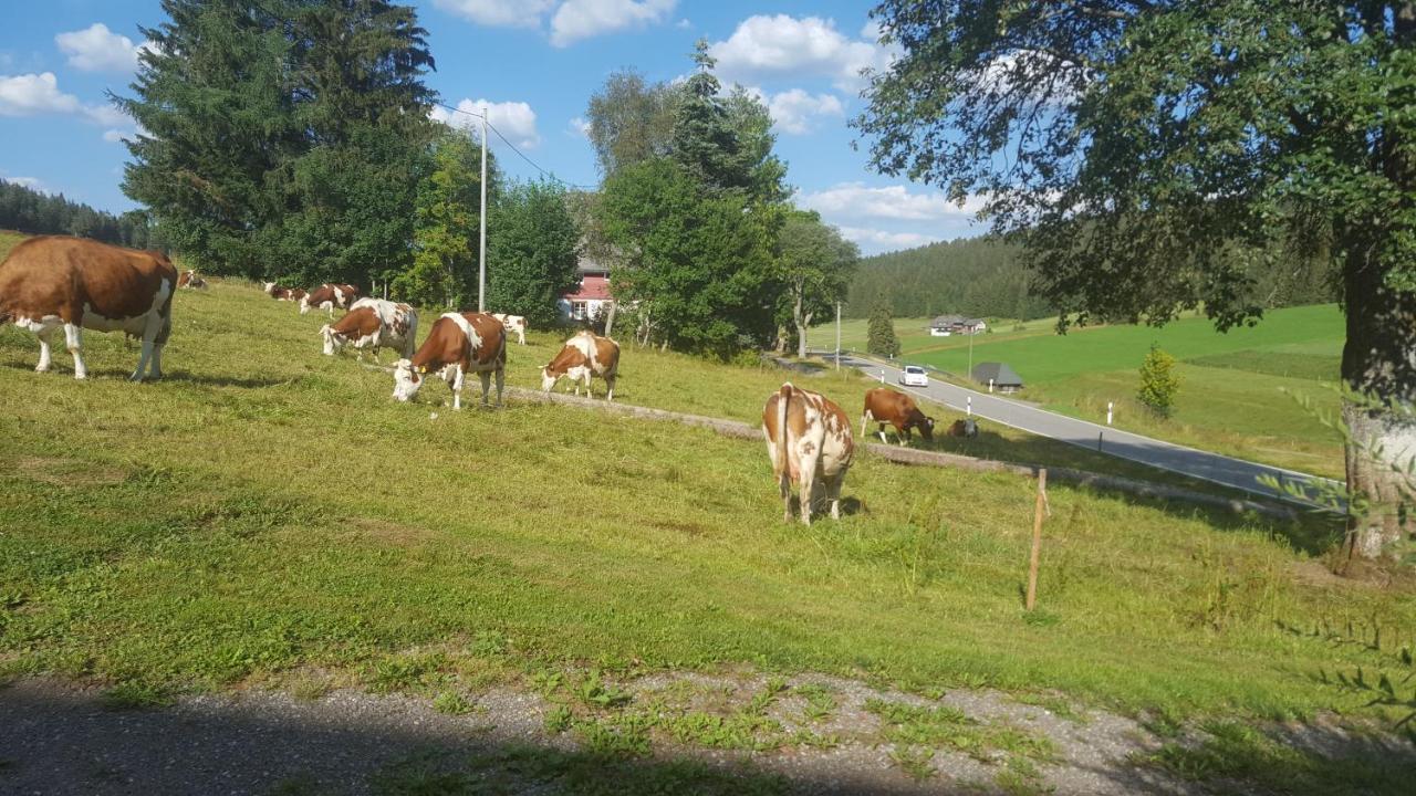 Appartement Rehblick Eisenbach  Esterno foto
