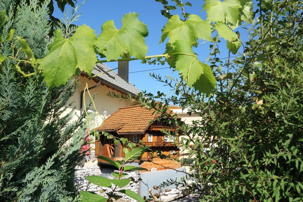 Appartement Rehblick Eisenbach  Esterno foto