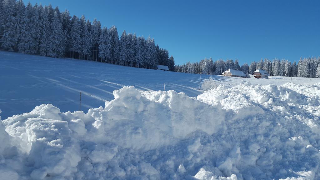 Appartement Rehblick Eisenbach  Esterno foto