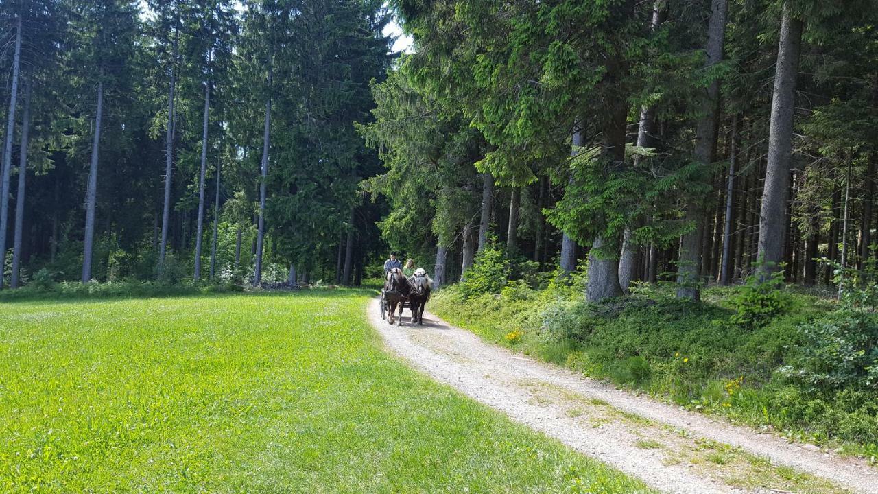 Appartement Rehblick Eisenbach  Esterno foto